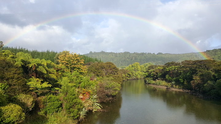 Golden bay rainbow